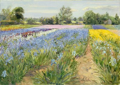 Échiquier floral, 1995 - Timothy Easton